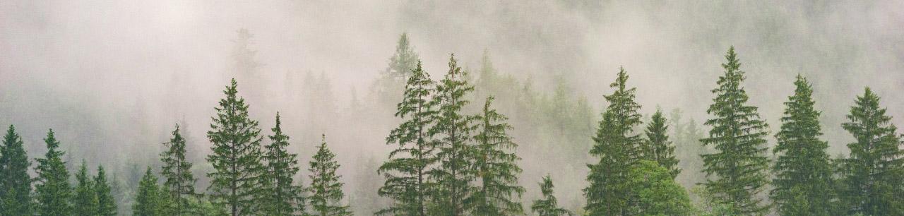Burnout and the Worklife model.
